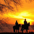 jake-morley-sunset jake morley - riding off into the sunset
