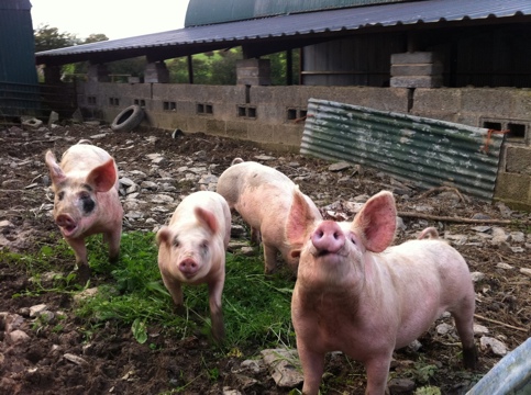 20110919-082724.jpg